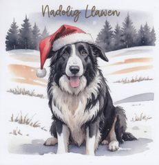 Nadolig Llawen (pack)|Nadolig Llawen (pecyn)