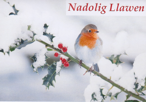 Nadolig Llawen (pack)|Nadolig Llawen (pecyn)