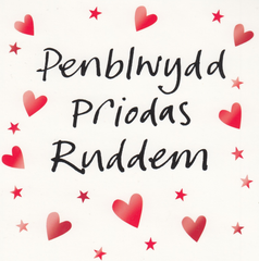 Penblwydd Priodas Ruddem