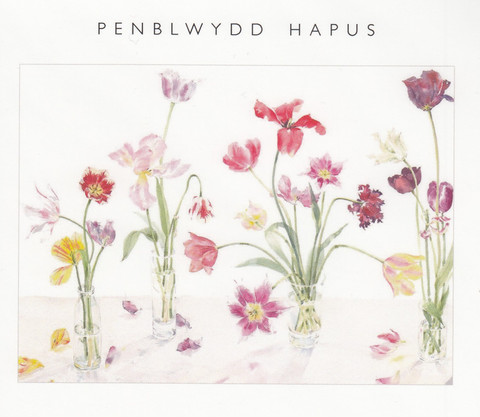 Penblwydd Hapus