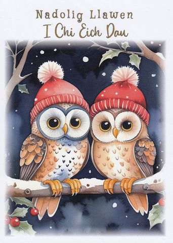 Nadolig Llawen I Chi Eich Dau