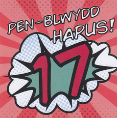 Pen-blwydd Hapus! 17
