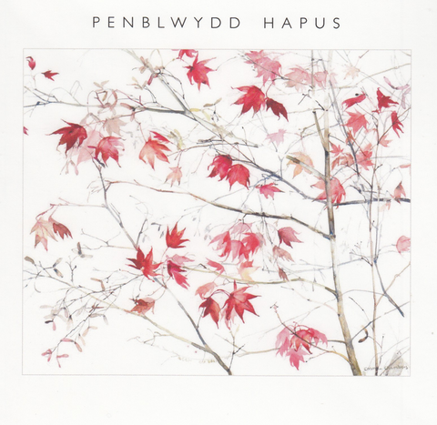 Penblwydd Hapus