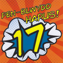 Pen-blwydd Hapus! 17