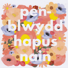 Pen-blwydd Hapus Nain