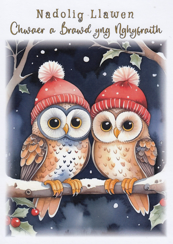 Nadolig Llawen Chwaer a Brawd yng Nghyfraith