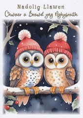 Nadolig Llawen Chwaer a Brawd yng Nghyfraith