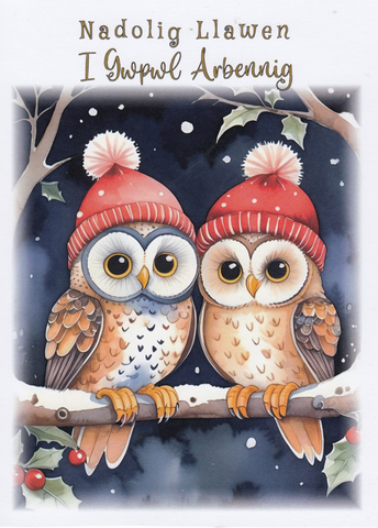 Nadolig Llawen i Gwpwl Arbennig