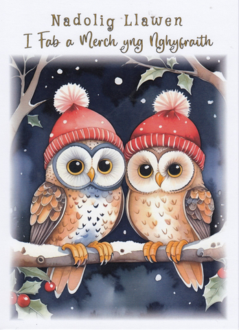 Nadolig Llawen I Fab a Merch yng Nghyfraith