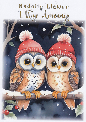 Nadolig Llawen i Wyr Arbennig