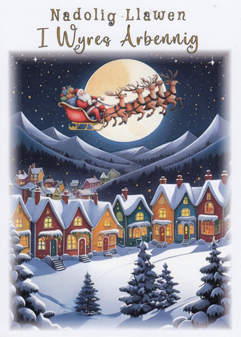 Nadolig Llawen I Wyres Arbennig
