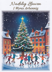 Nadolig Llawen I Wyres Arbennig