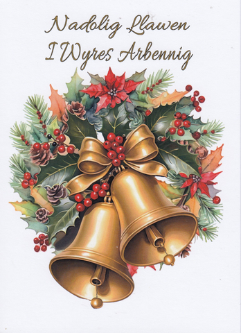 Nadolig Llawen I Wyres Arbennig