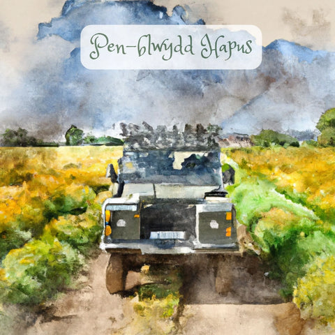 Pen-blwydd Hapus