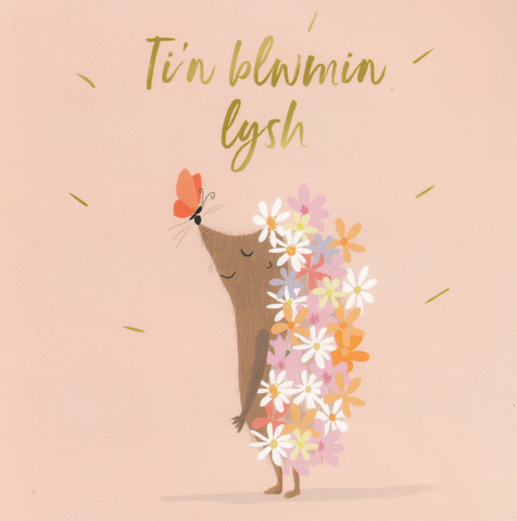 Ti'n Blwmin Lysh