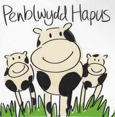 Penblwydd Hapus