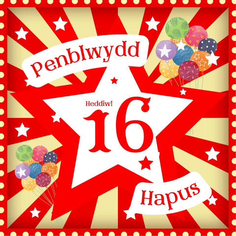 Penblwydd Hapus - 16