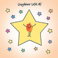 Llwyddiant Lefel A!