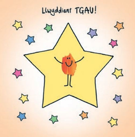 Llwyddiant TGAU!