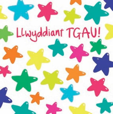 Llwyddiant TGAU!