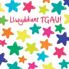 Llwyddiant TGAU!