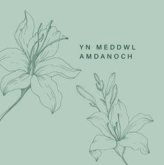 Yn Meddwl Amdanoch