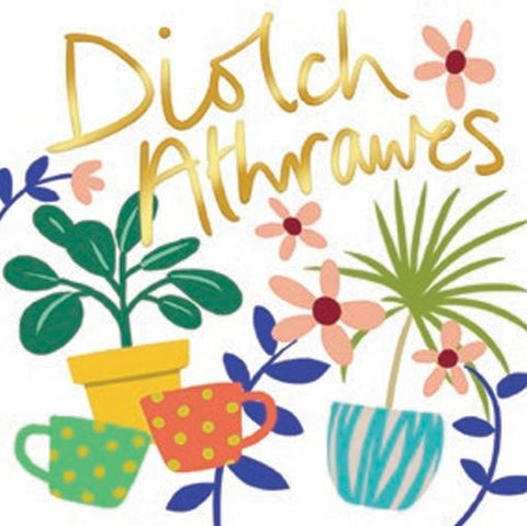 Diolch Athrawes