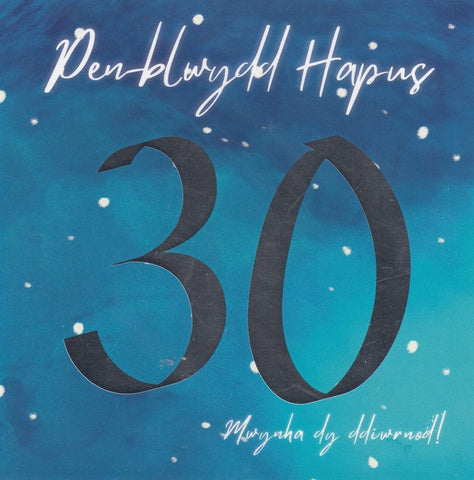 Pen-blwydd Hapus - 30