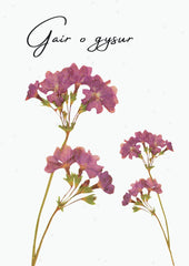 Gair o gysur