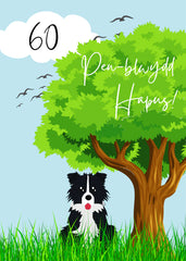 Pen-blwydd Hapus - 60