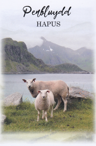 Penblwydd Hapus