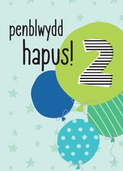 Penblwydd Hapus - 2