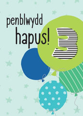 Penblwydd Hapus - 3