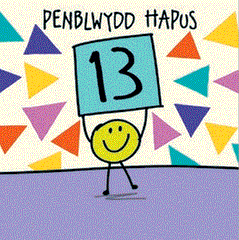 Penblwydd Hapus! - 13