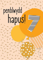 Penblwydd Hapus - 7