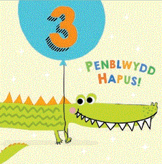 Penblwydd Hapus! - 3