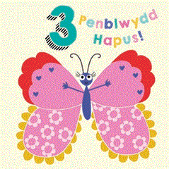 Penblwydd Hapus! - 3