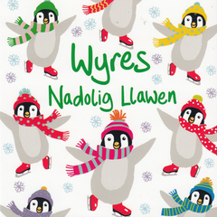 Nadolig Llawen Wyres