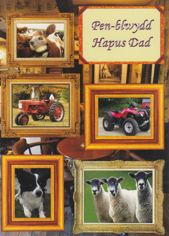 Pen-blwydd Hapus Dad