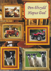 Pen-blwydd Hapus Dad