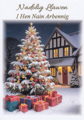 Nadolig Llawen I Hen Nain Arbennig