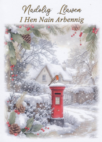 Nadolig Llawen I Hen Nain Arbennig