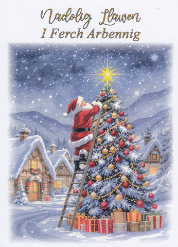 Nadolig Llawen I Ferch Arbennig