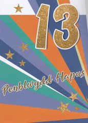 Penblwydd Hapus - 13
