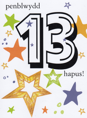 Penblwydd Hapus - 13