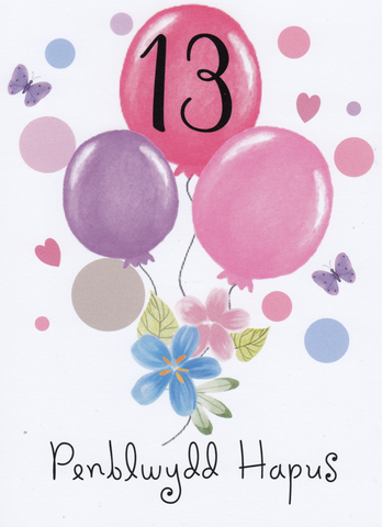 Penblwydd Hapus - 13