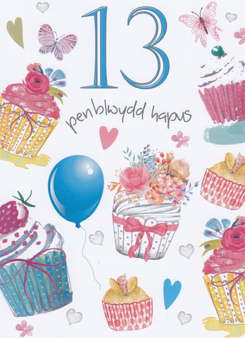 Penblwydd Hapus - 13