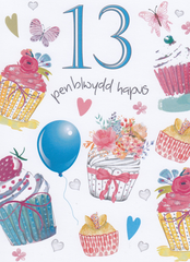 Penblwydd Hapus - 13