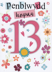 Penblwydd Hapus - 13