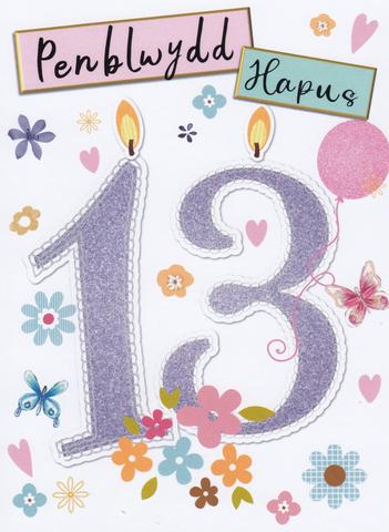 Penblwydd Hapus - 13